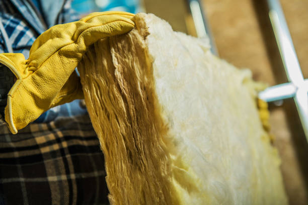 Best Cellulose Insulation in Newton, NJ